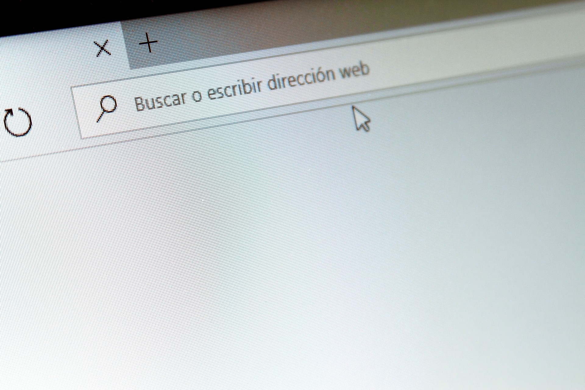 Internet browser on a computer screen